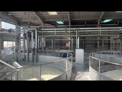 Χρήση κοσμητικών χρωστικών κολλαγόνων Πεπτίδια για αποθήκευση μακριά από το φως και την υψηλή θερμοκρασία